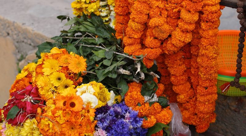 A Divine Dashain 2072 To All!