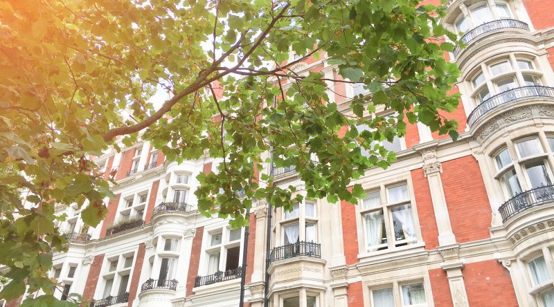 Protecting your property this summer